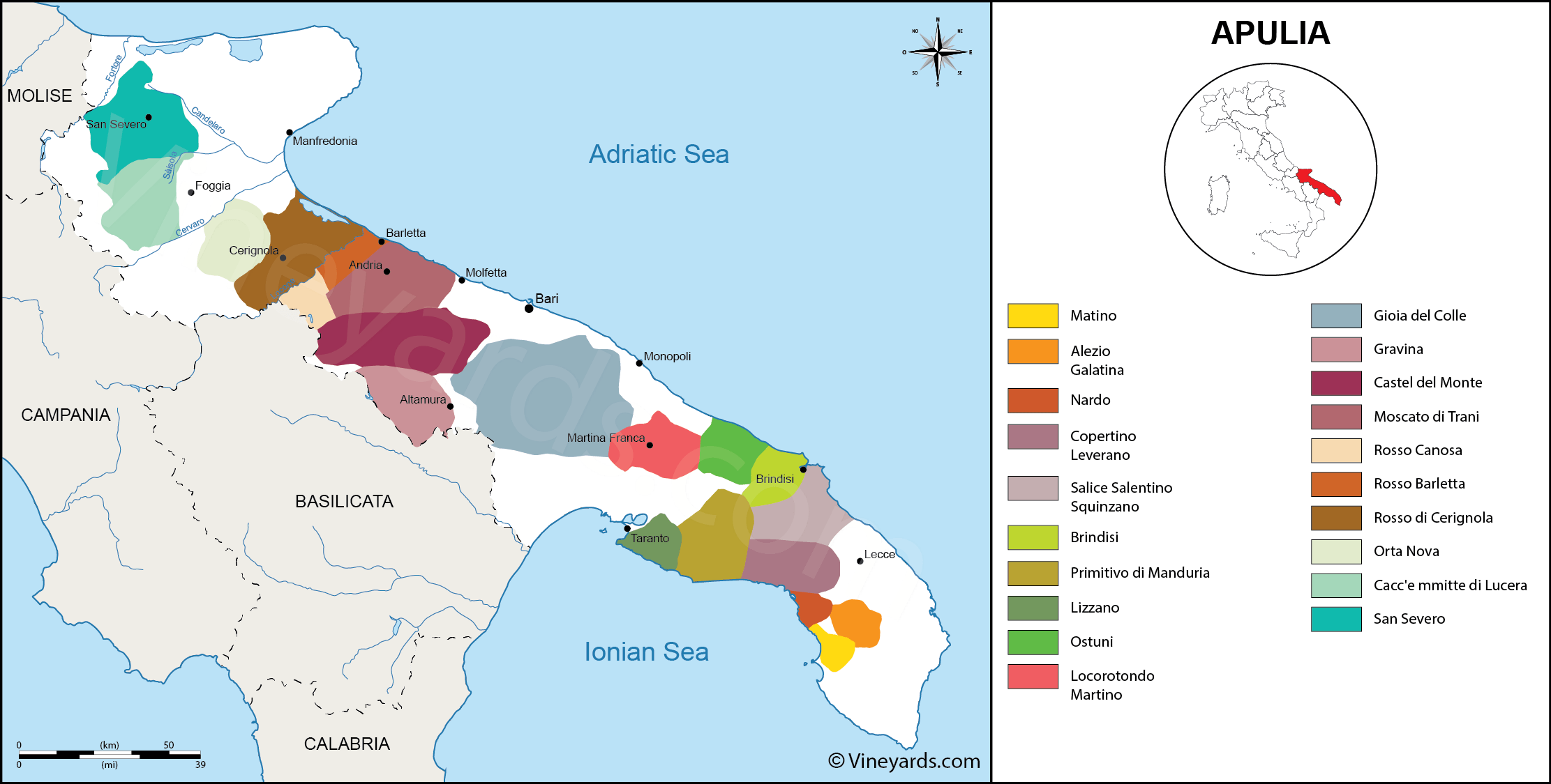 Wine Regions in Apulia