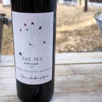 Winery & Distillery Ana Naglich gallery photo