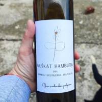 Winery & Distillery Ana Naglich gallery photo