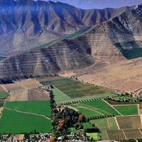 Veroushka Vidaurre Corredora de Viñedos gallery photo