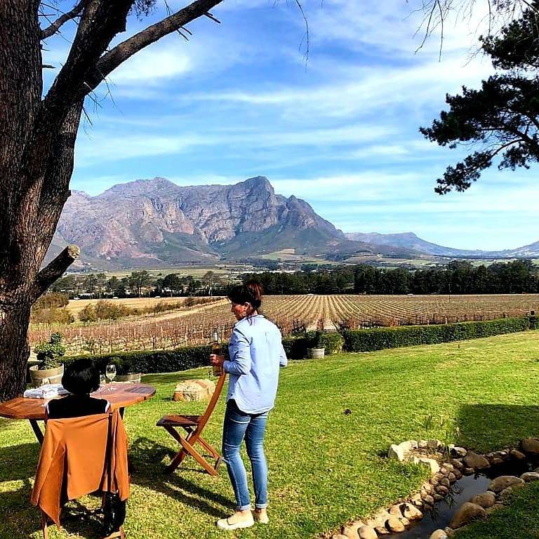 Topiary Wines | South Africa