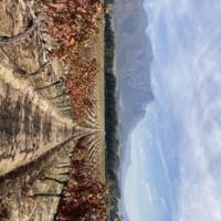 Topiary Wines gallery photo