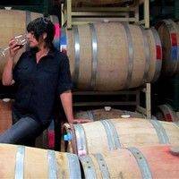 Javelina Leap Vineyard & Winery gallery photo