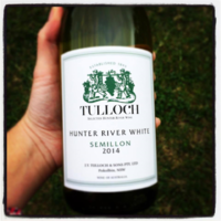 Tulloch Wines profile photo
