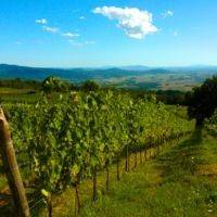 VALDONICA Winery & Vineyard Residence gallery photo