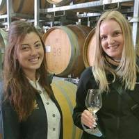 wineinsights gallery photo