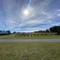 wineinsights gallery photo