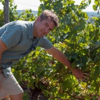 Thummerer Winery gallery photo