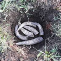 Weingut Rieger gallery photo