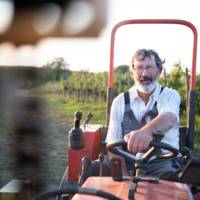 Weingut Rieger gallery photo