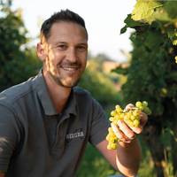 Weingut Rieger profile photo
