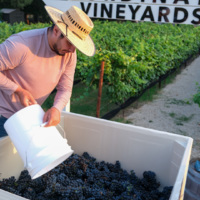 Coordinates Vineyards gallery photo