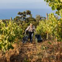 Quinta Vale Da Roca gallery photo