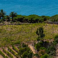 Quinta Vale Da Roca profile photo