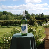 Rothley Wine Estate, Kingfishers' Pool Vineyard (wines sold by Rothley Wine Ltd) gallery photo