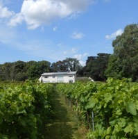 Rothley Wine Estate, Kingfishers' Pool Vineyard (wines sold by Rothley Wine Ltd) profile photo