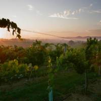 CrossKeys Vineyards & Winery profile photo