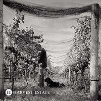 Harvest Estate gallery photo