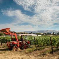 Lion Ranch Vineyards & Winery profile photo