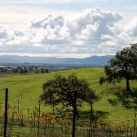 Sunlit Oaks Winery gallery photo