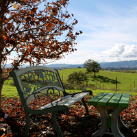 Sunlit Oaks Winery gallery photo