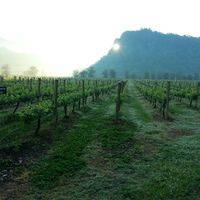 GranMonte Vineyard and Winery profile photo