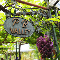 PB Valley Khao Yai Winery  profile photo