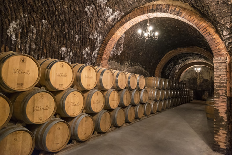 Cellar en Ribera del duero