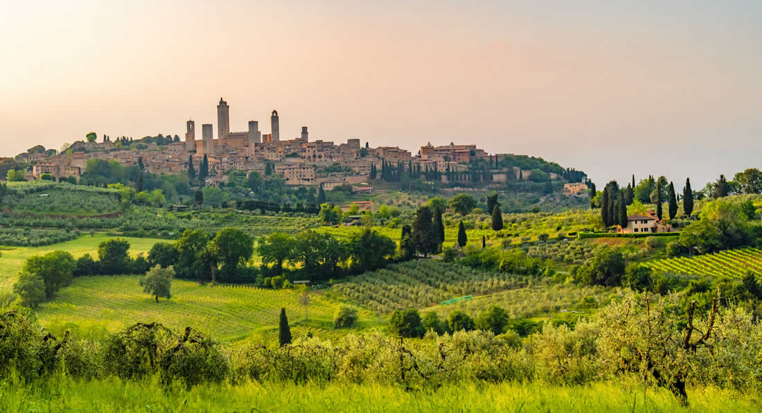 Italian Wine Countryside