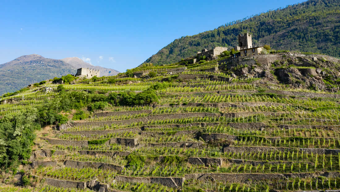 Lombardy Wine Region