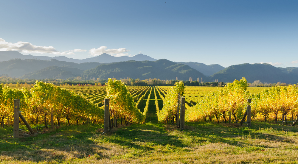 New Zealand Wine regions