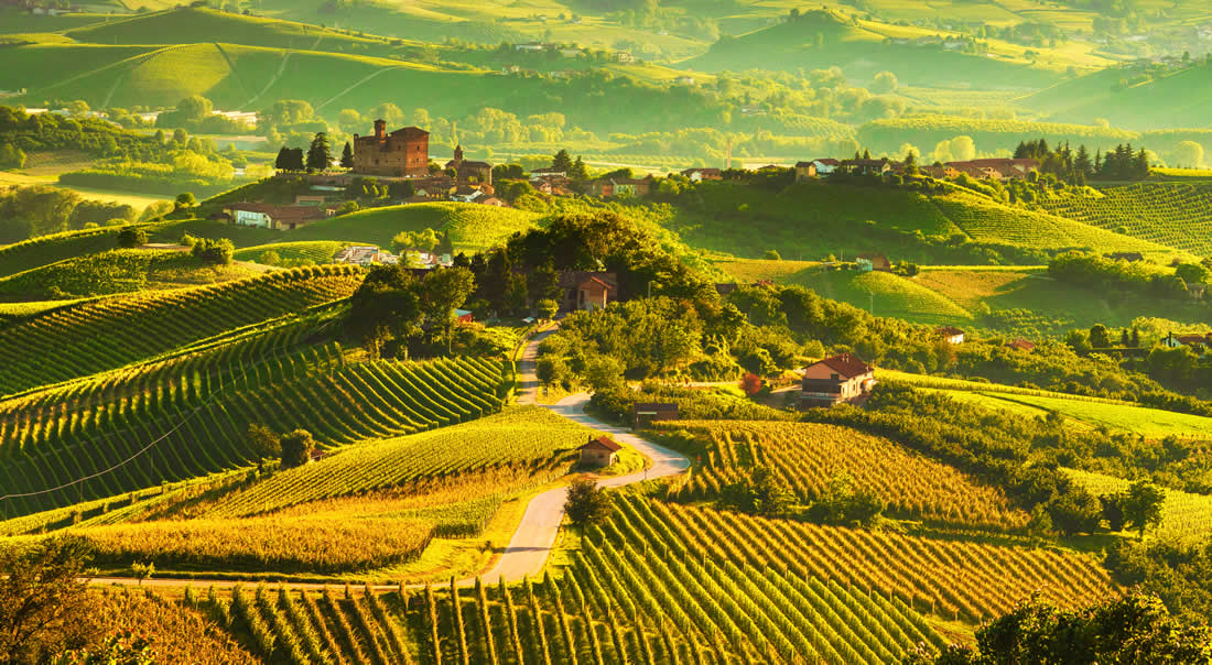 Piedmont Langhe Wine Region