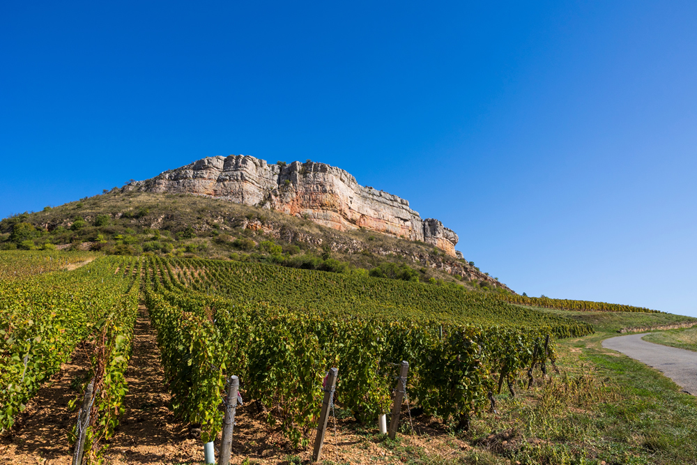 Pouilly Fuissé