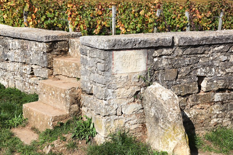 Domaine Romanée Conti DRC Burgundy