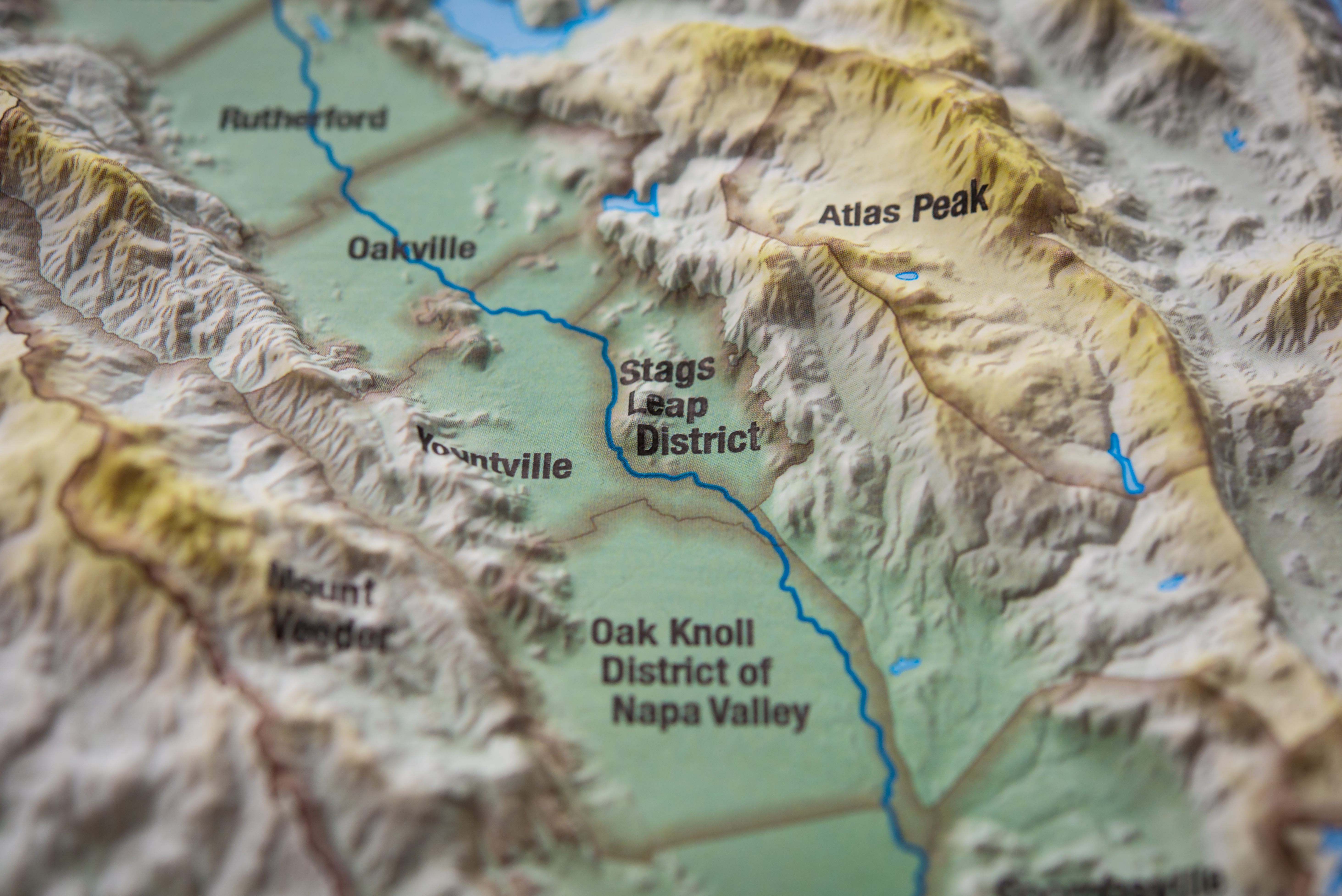 Napa Valley vineyards near Stag's Leap