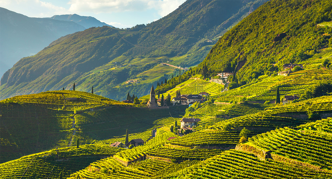 Trentino Alto Adige Wine Region