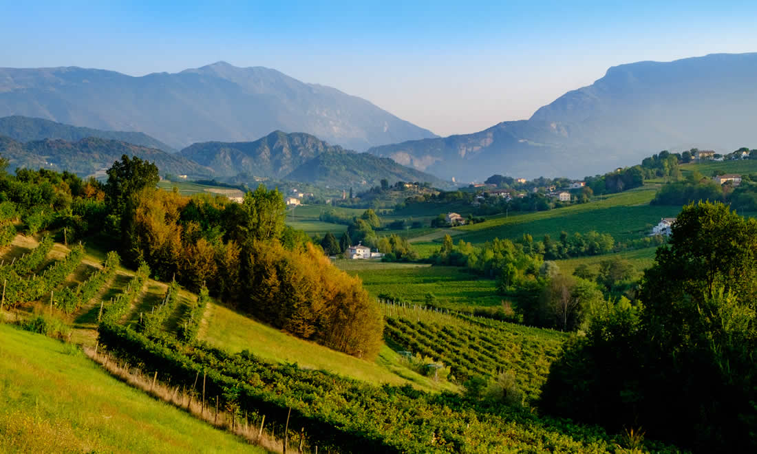 Veneto Wine Region